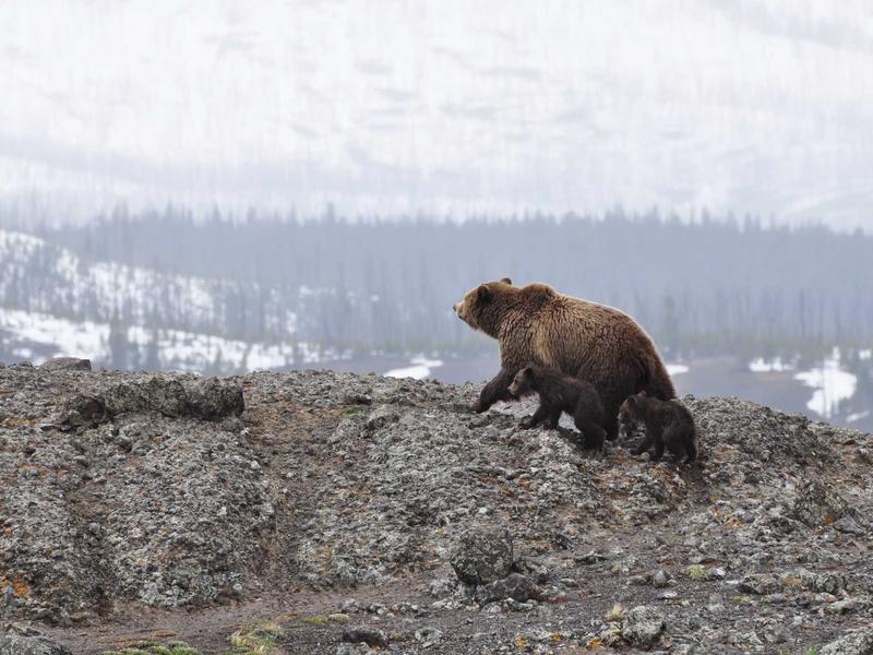 古着买手<br>warnesu.cn 中古LV鉴定